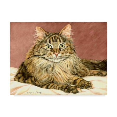 Jan Benz 'Lady Pounce' Canvas Art,35x47